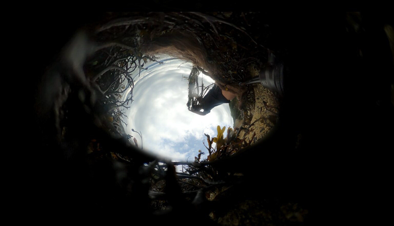 Unfair - Still zombie (i fell here through a hole), 2022 (video still, courtesy of the artist (1)