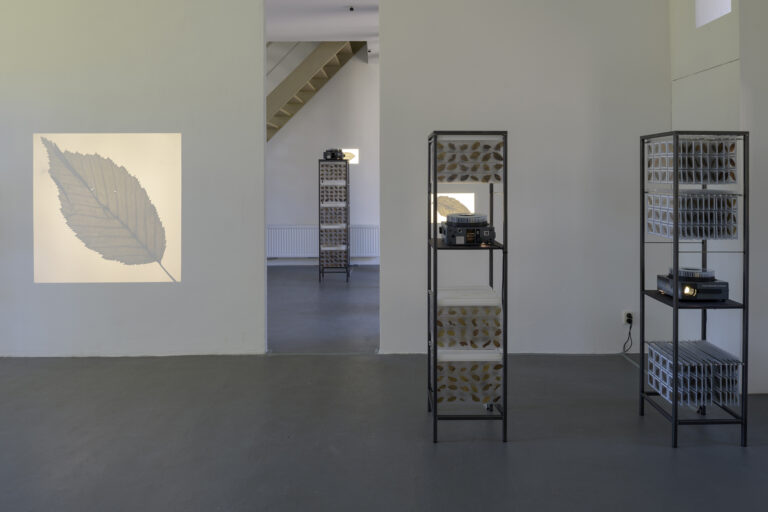 Unfair - Sanne_vaassen_fractals_2015_