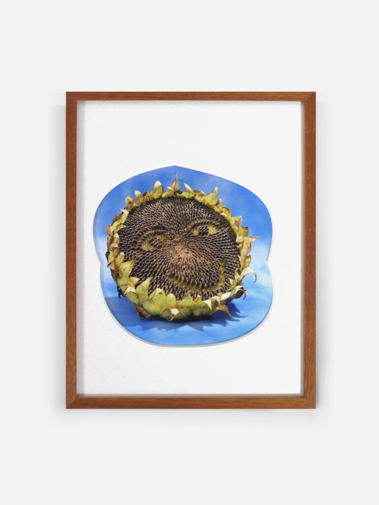 Unfair - 231212_loulou01