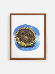 Unfair - Lou-louvanstaaveren_231212_loulou01