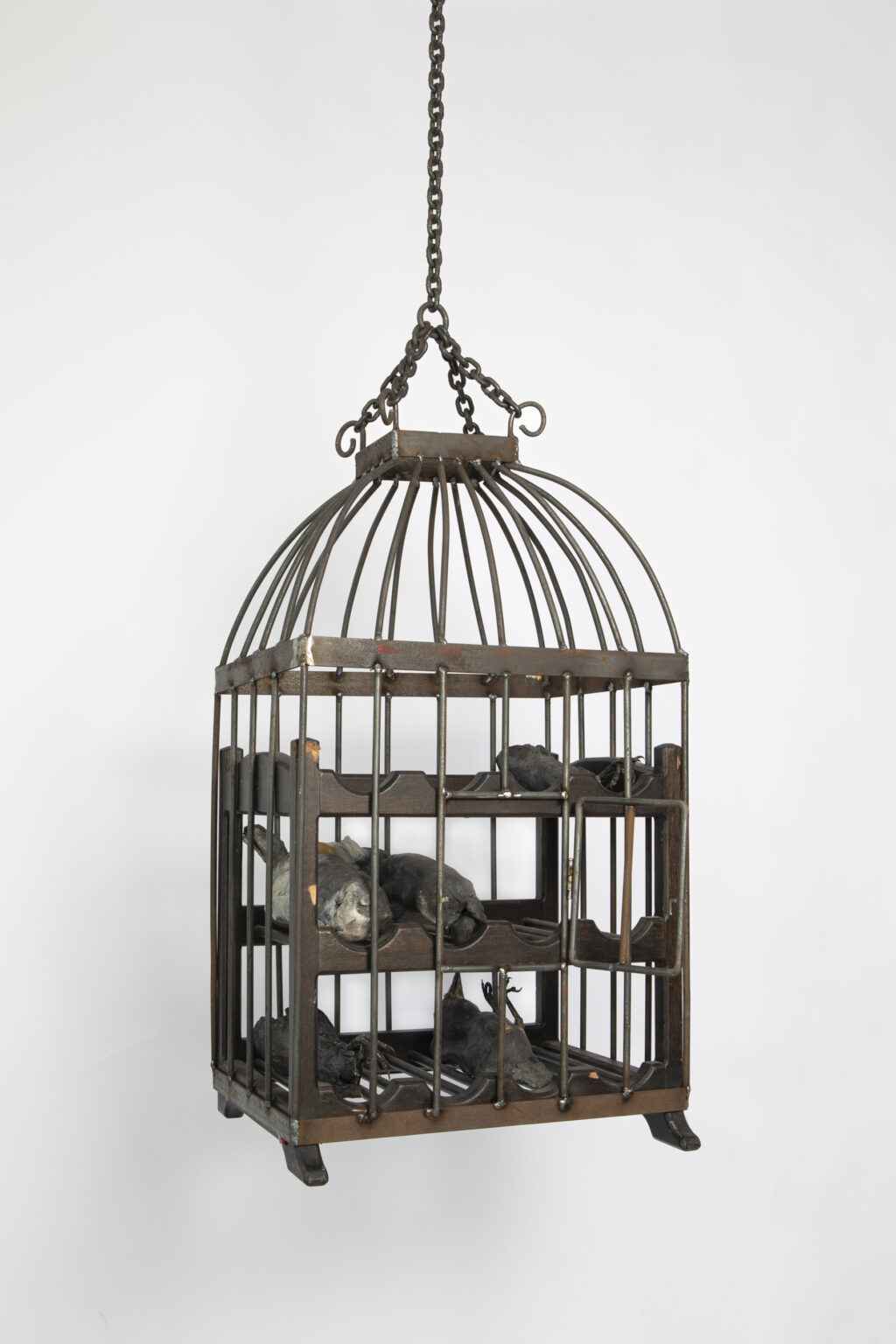 Unfair - Bart _pols_'ding met veren (in kooi)'_2024.jpeg