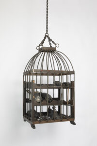 Unfair - Bart _pols_'ding met veren (in kooi)'_2024.jpeg