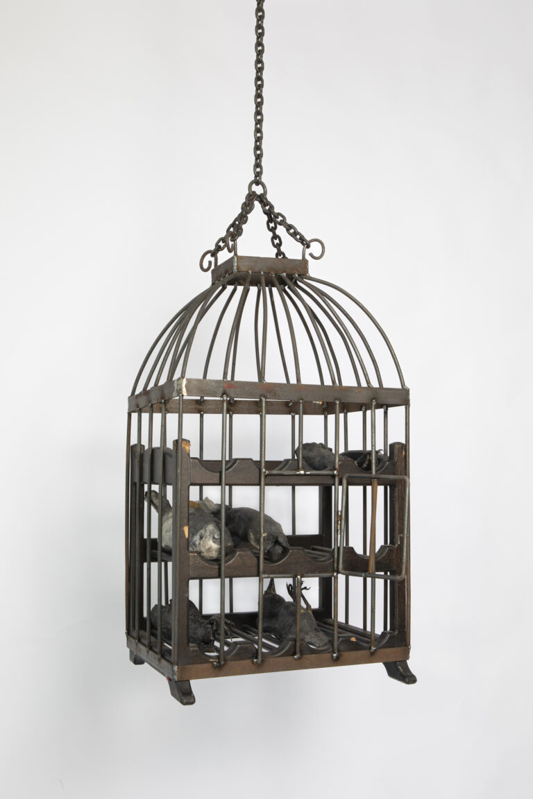 Unfair - Bart _pols_'ding met veren (in kooi)'_2024.jpeg