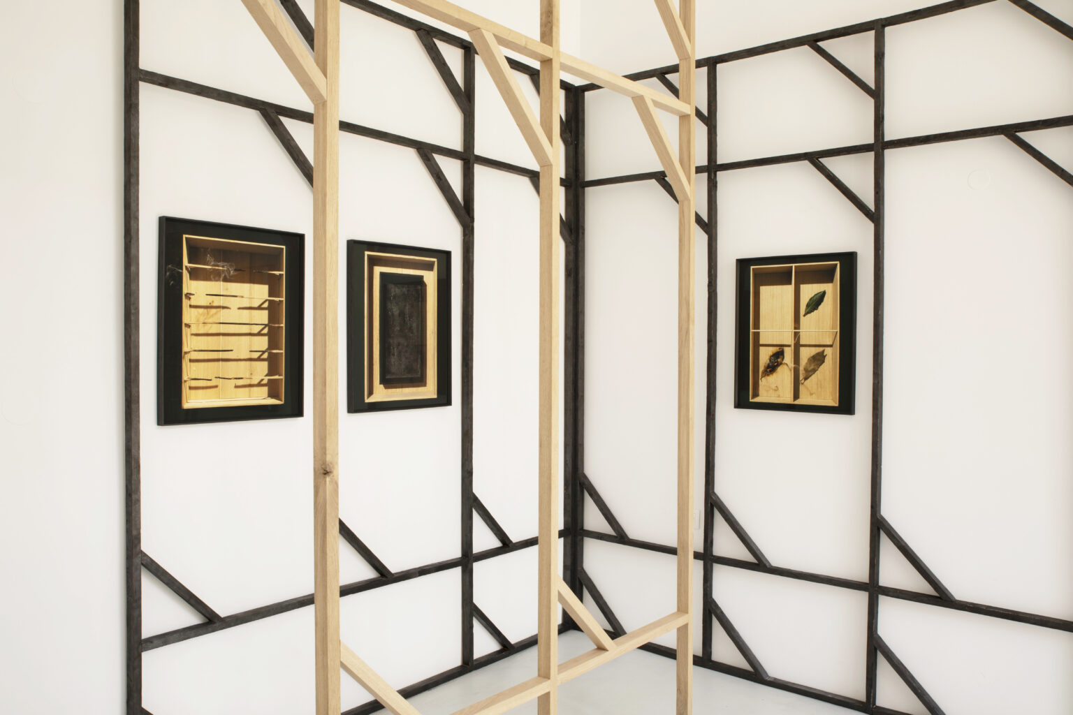 Unfair - Bart_lunenburg_ashes _ ashes_2022