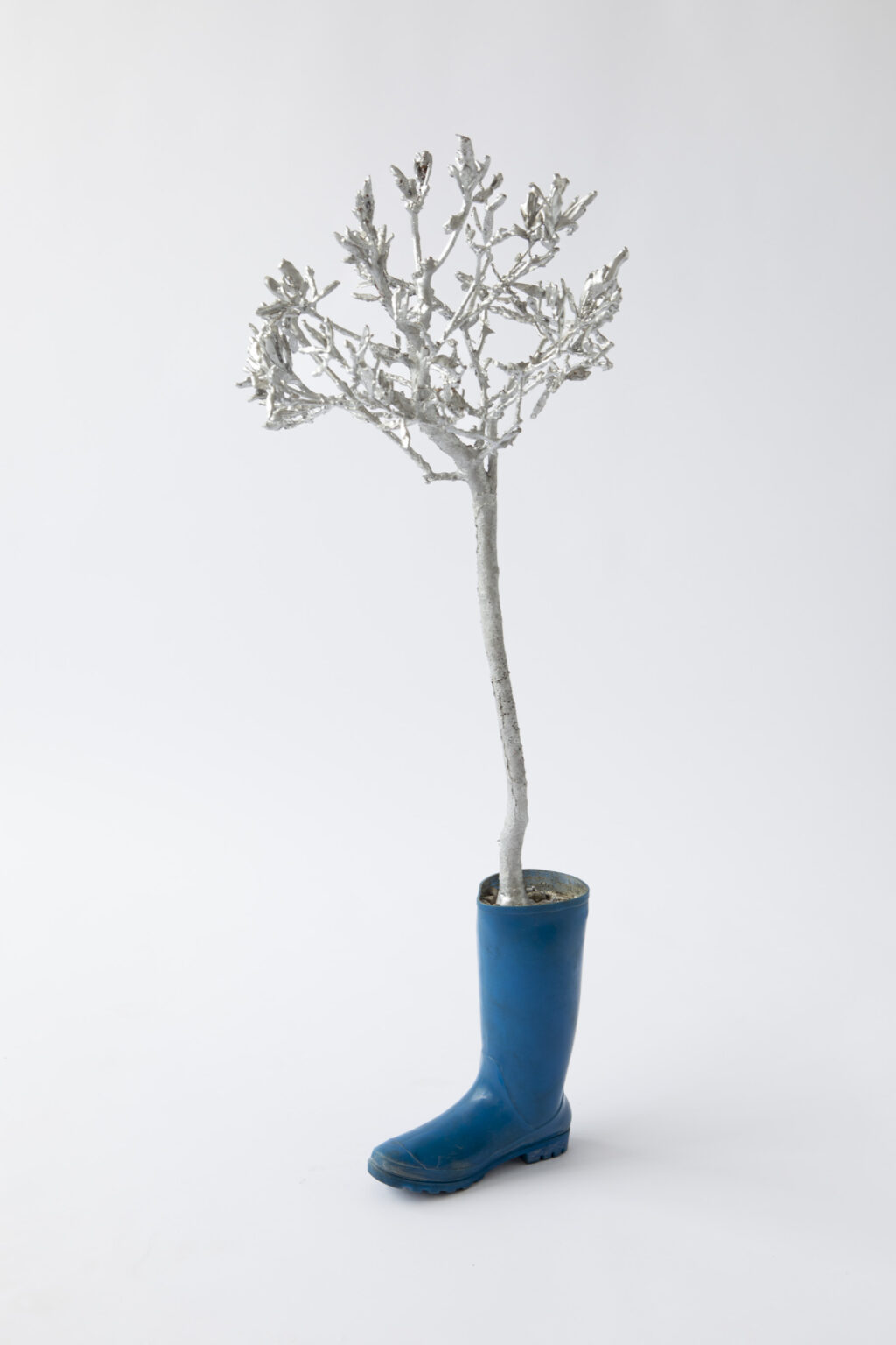 Unfair - Bart_pols_'olea europaea'_2022_coll. akzonobel art foundation, amsterdam.jpeg