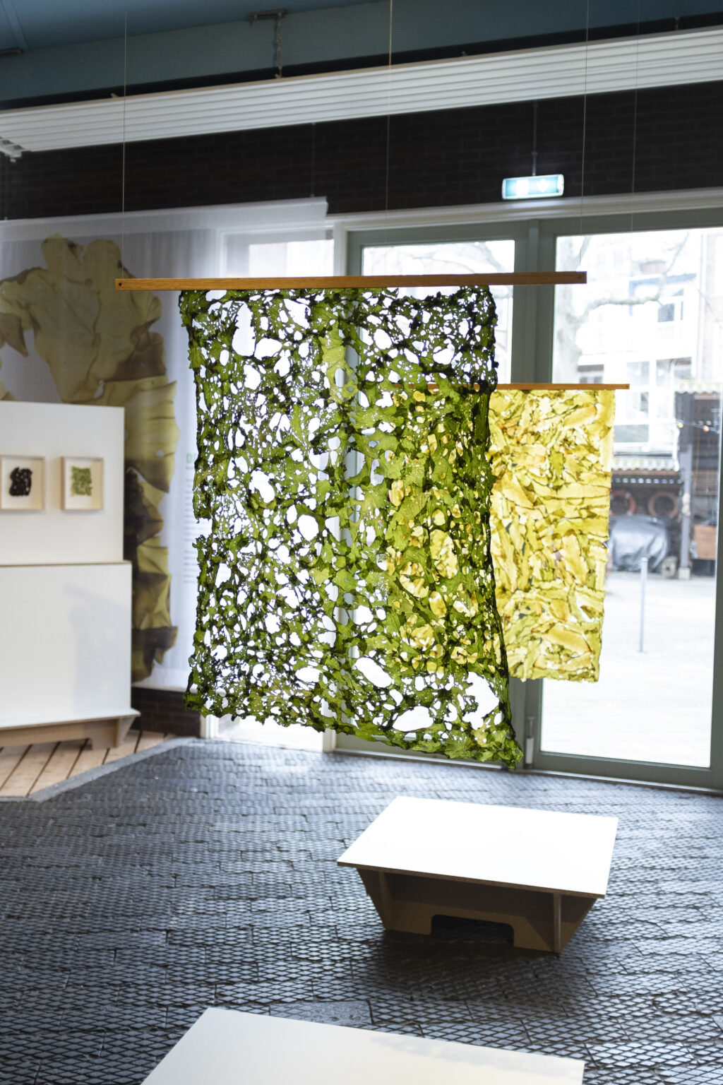 Unfair - Super organism