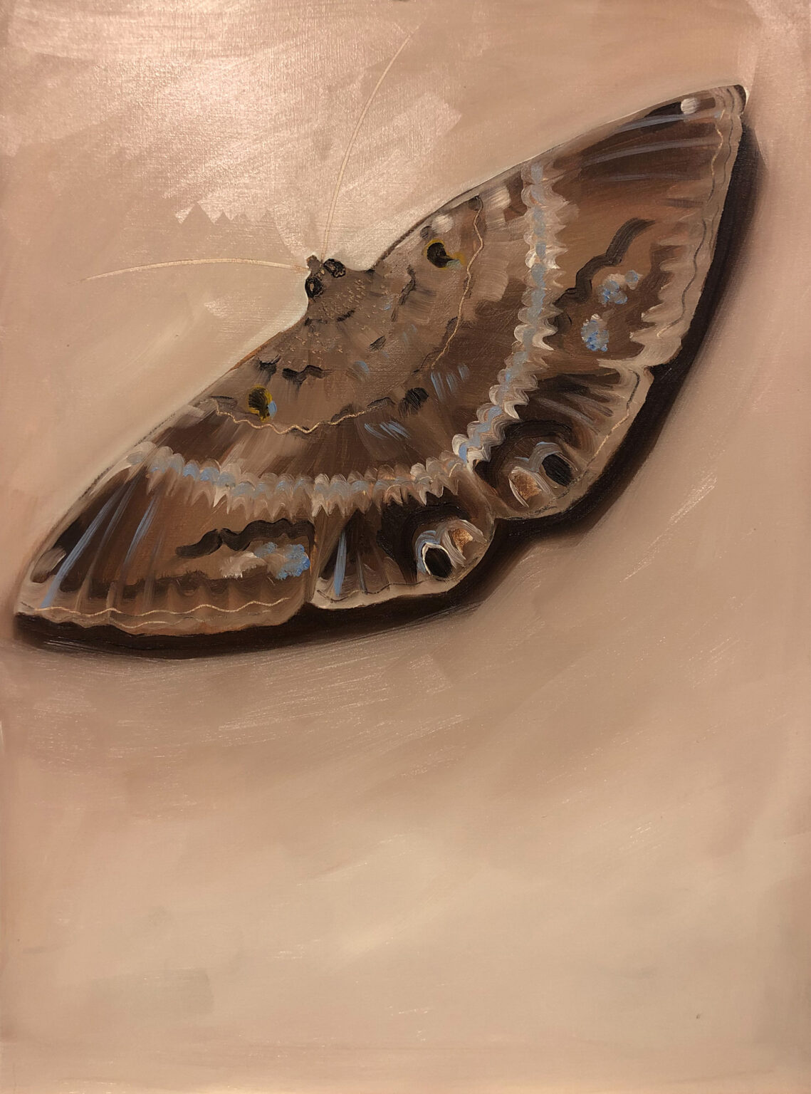 Unfair - Timothy_voges_barbulètè inosente_2023