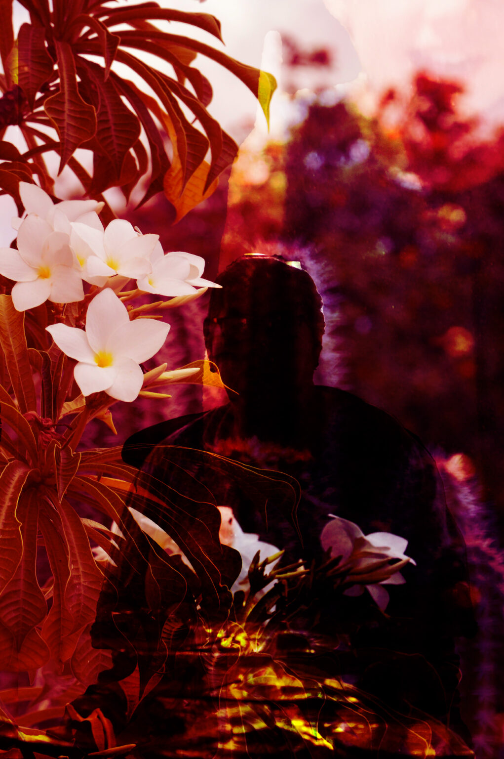 Unfair - Lilly_noordhof_ rekuerdo series_2022