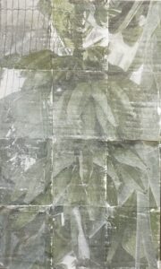 Unfair - In my grandmother_s garden2