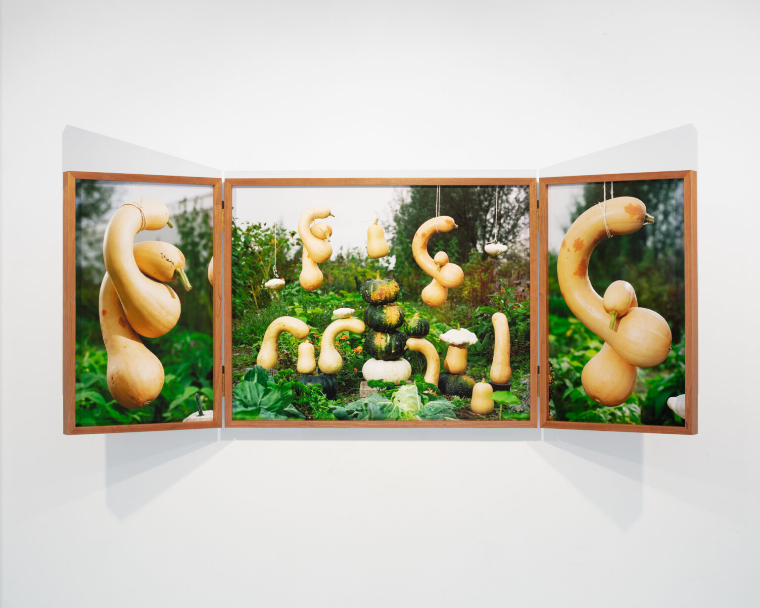 Unfair - Lou-lou van staaveren_pumpkin harvest_2025