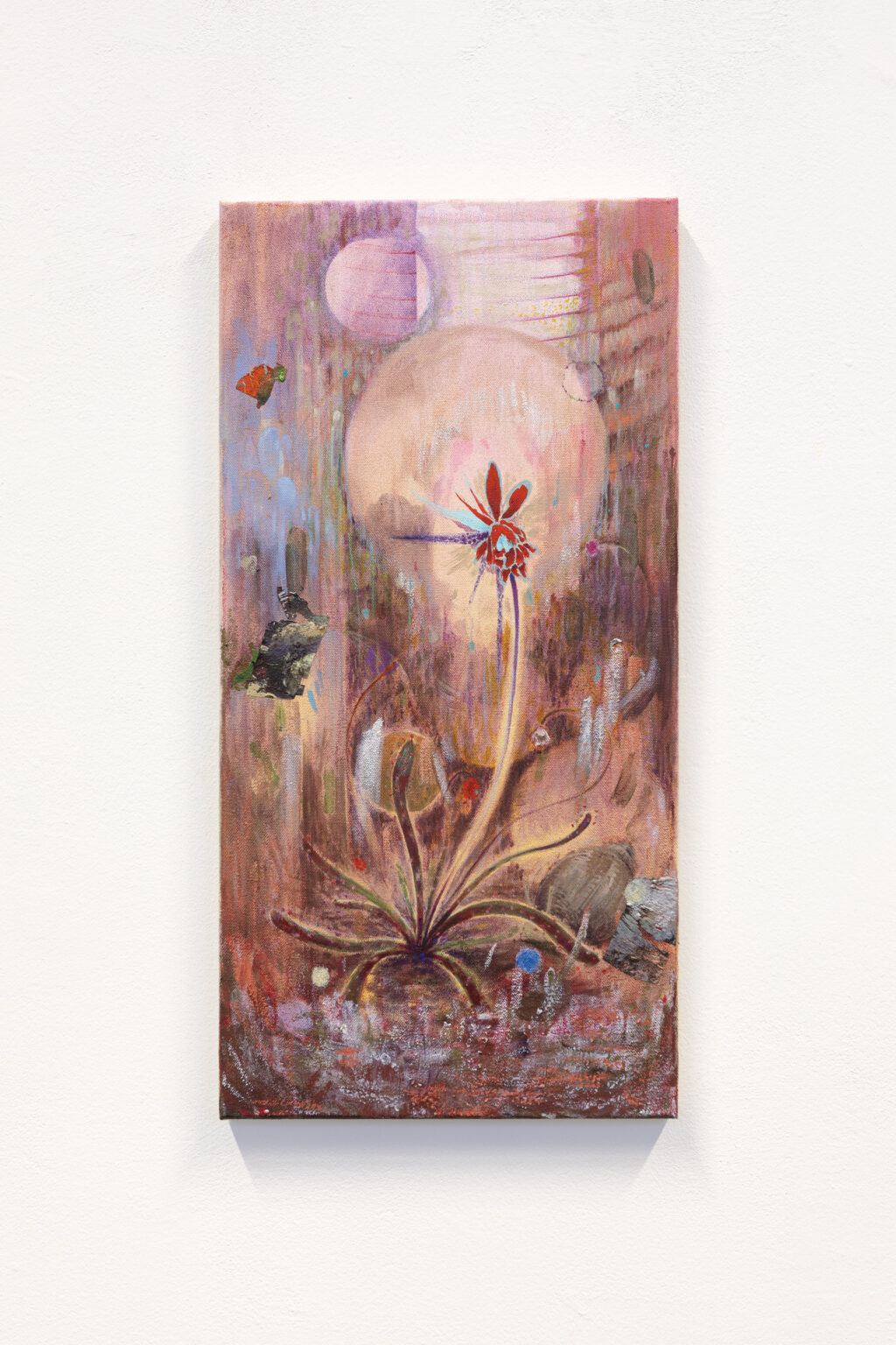 Unfair - Jochem_mestriner_sundew apotheosis_2024