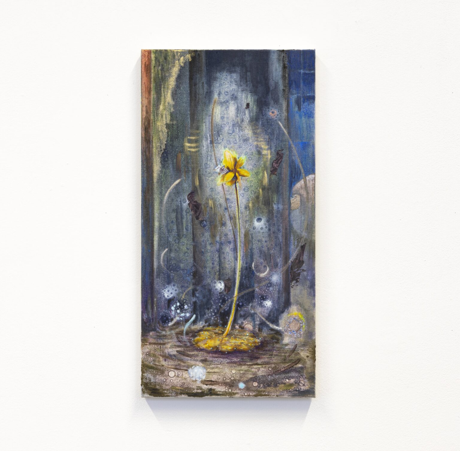 Unfair - Jochem_mestriner_sundew apotheosis_2025